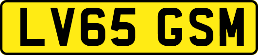 LV65GSM