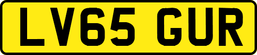 LV65GUR
