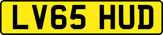 LV65HUD
