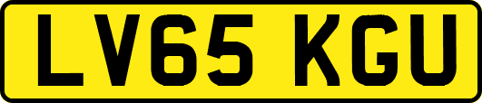 LV65KGU