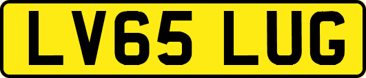 LV65LUG