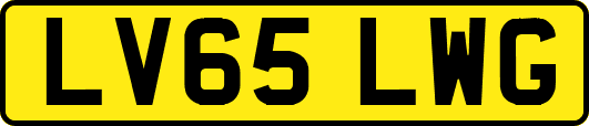 LV65LWG