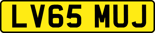 LV65MUJ