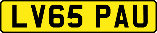 LV65PAU