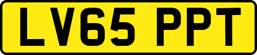 LV65PPT