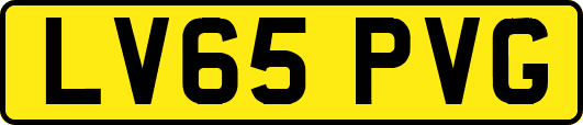 LV65PVG