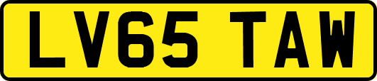 LV65TAW