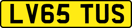 LV65TUS