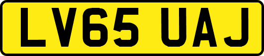 LV65UAJ