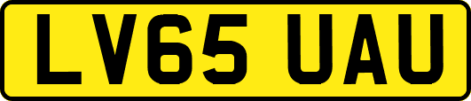 LV65UAU