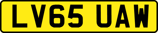 LV65UAW