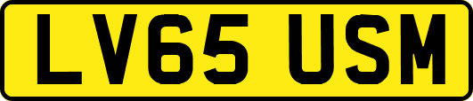 LV65USM