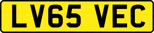 LV65VEC