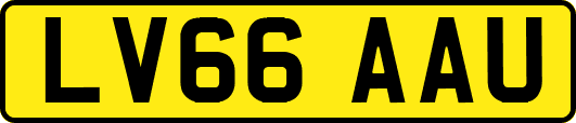 LV66AAU