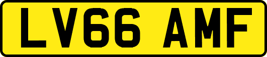 LV66AMF