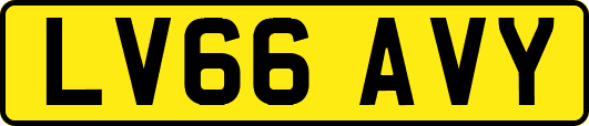 LV66AVY