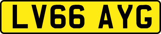 LV66AYG