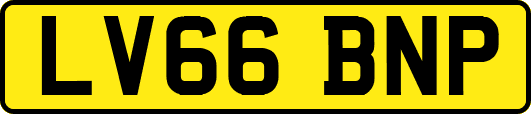 LV66BNP