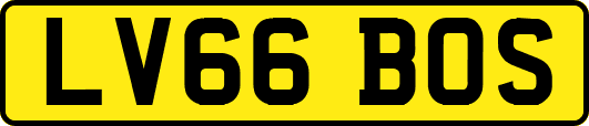 LV66BOS