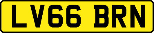 LV66BRN
