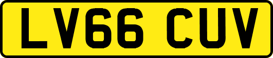 LV66CUV