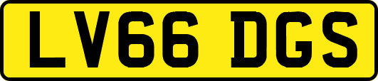 LV66DGS