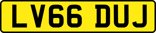 LV66DUJ