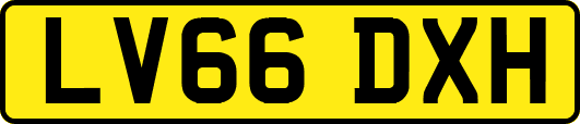 LV66DXH