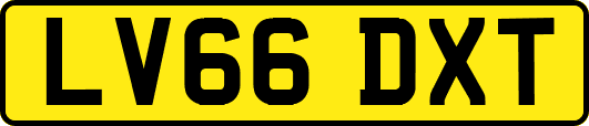 LV66DXT