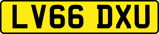 LV66DXU