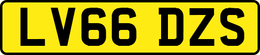 LV66DZS