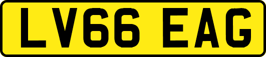 LV66EAG