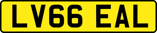 LV66EAL