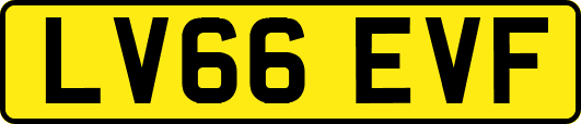 LV66EVF