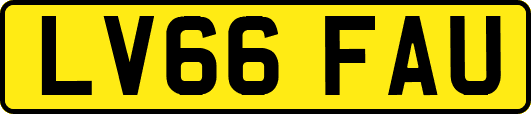 LV66FAU