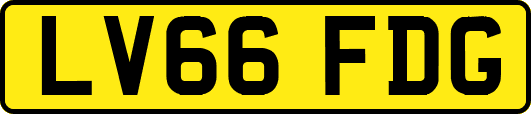 LV66FDG