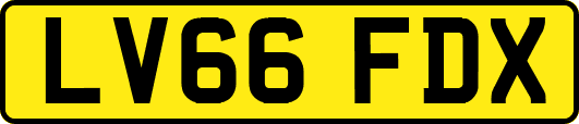 LV66FDX