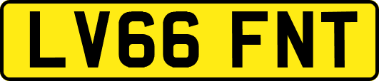 LV66FNT