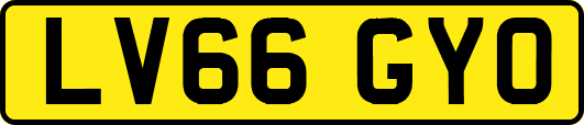 LV66GYO