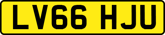 LV66HJU