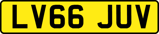 LV66JUV