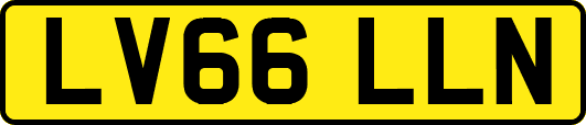 LV66LLN