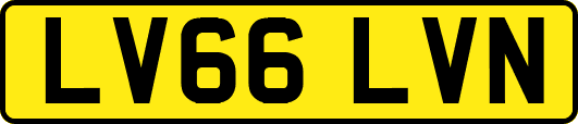 LV66LVN