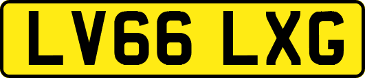 LV66LXG