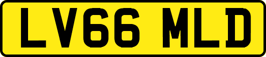 LV66MLD