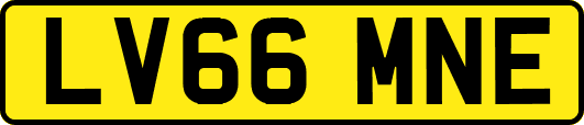 LV66MNE
