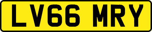 LV66MRY