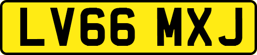 LV66MXJ