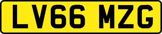 LV66MZG
