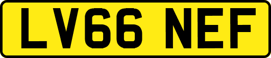 LV66NEF